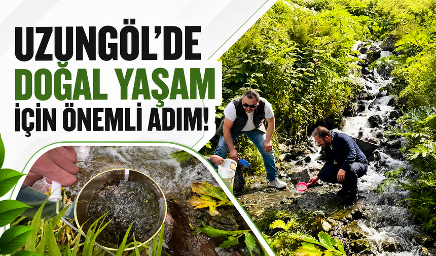 Uzungöl’de doğal yaşam için önemli adım!