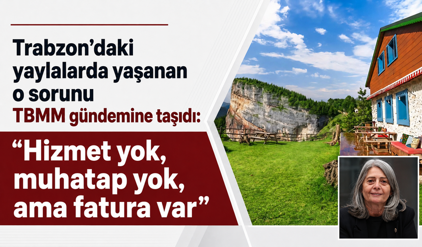 Trabzon’daki yaylalarda yaşanan o sorunu TBMM gündemine taşıdı: “Hizmet yok, muhatap yok, ama fatura var”