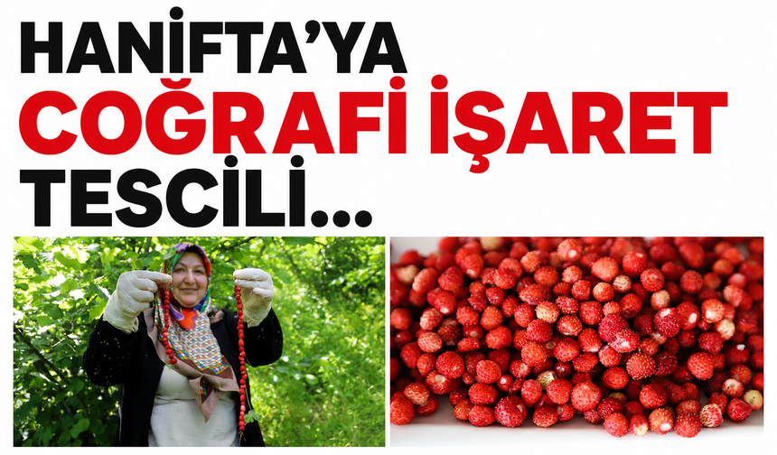 Hanifta'ya coğrafi işaret tescili...