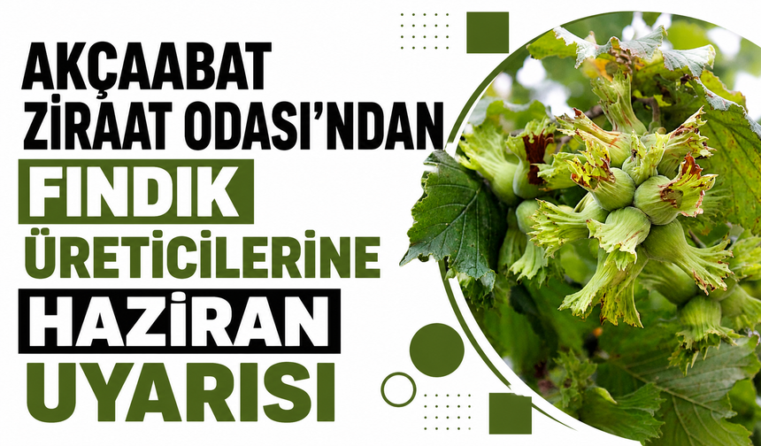 Akçaabat Ziraat Odası’ndan fındık üreticilerine haziran uyarısı