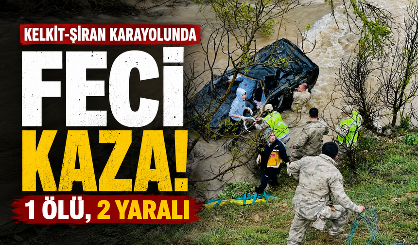 Kelkit-Şiran Karayolunda Feci Kaza: 1 Ölü, 2 Yaralı.