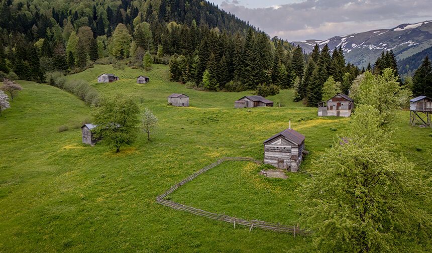 Trabzon'un yaylaları doğal güzellikleriyle ziyaretçilerini ağırlıyor