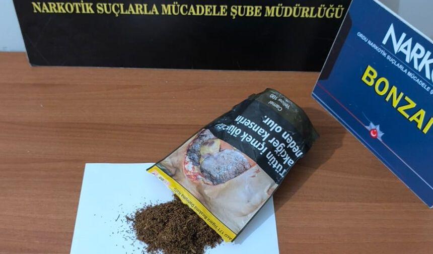 Ordu'da uyuşturucu operasyonunda 7 şüpheli gözaltına alındı