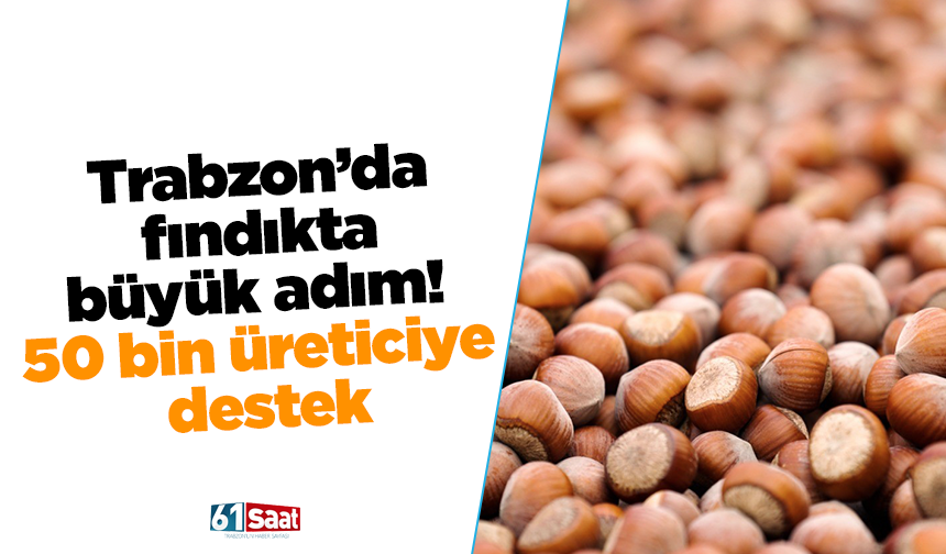 Trabzon'da fındıkta büyük adım: 50 bin üreticiye destek