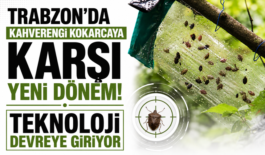 Trabzon’da kahverengi kokarcaya karşı yeni dönem! Teknoloji devreye giriyor