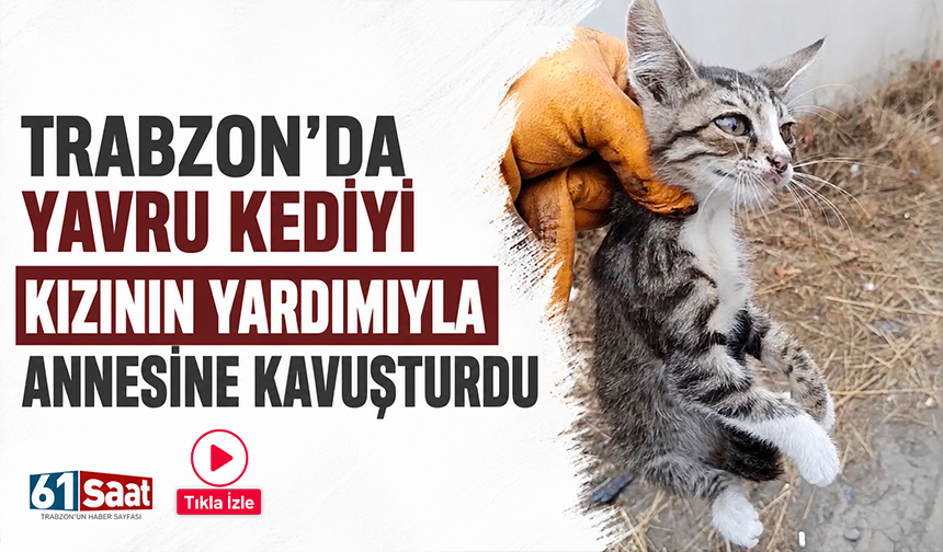 Trabzon’da yavru kediyi kızının yardımıyla annesine kavuşturdu