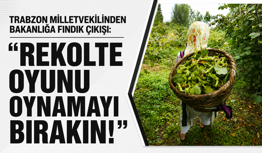 Trabzon milletvekilinden Bakanlığa fındık çıkışı: “Rekolte oyunu oynamayı bırakın!”
