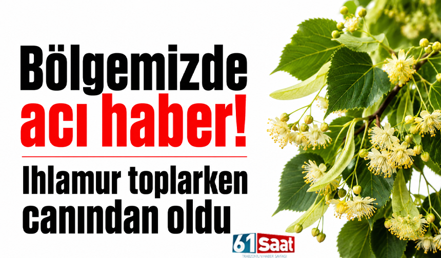 Bölgemizde acı haber! Ihlamur toplarken canından oldu