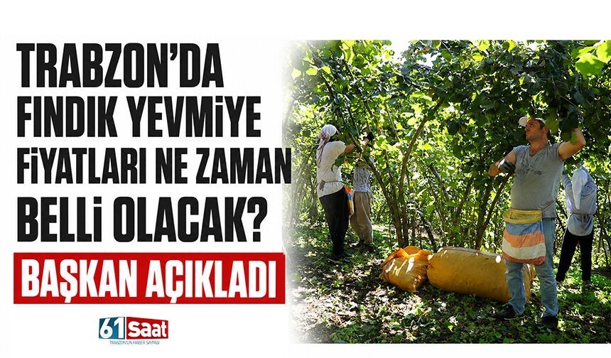 Trabzon’da fındık yevmiye fiyatları ne zaman belli olacak? Başkan açıkladı