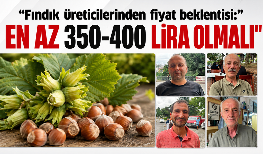 Fındık üreticilerinden fiyat beklentisi: “En az 350-400 lira olmalı”
