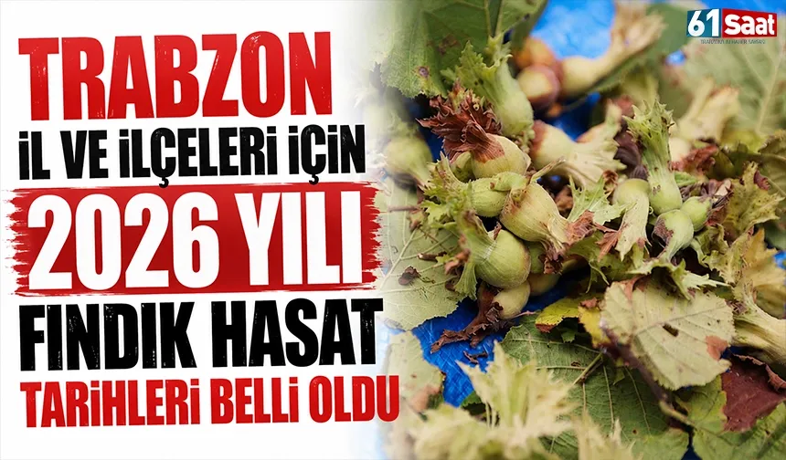 Trabzon il ve ilçeleri için 2026 yılı fındık hasat tarihleri belli oldu