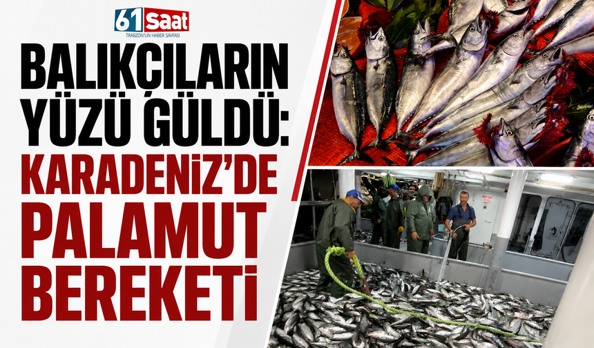 Balıkçıların yüzü güldü: Karadeniz'de palamut bereketi